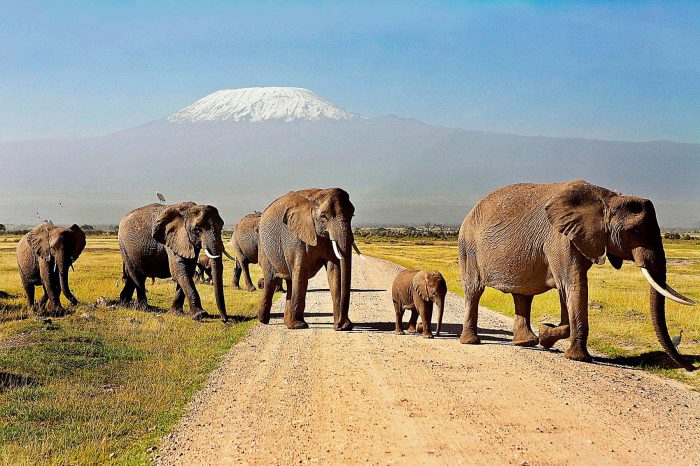 Amboseli Nationalpark