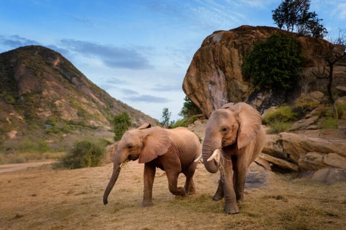 Tsavo East National Park