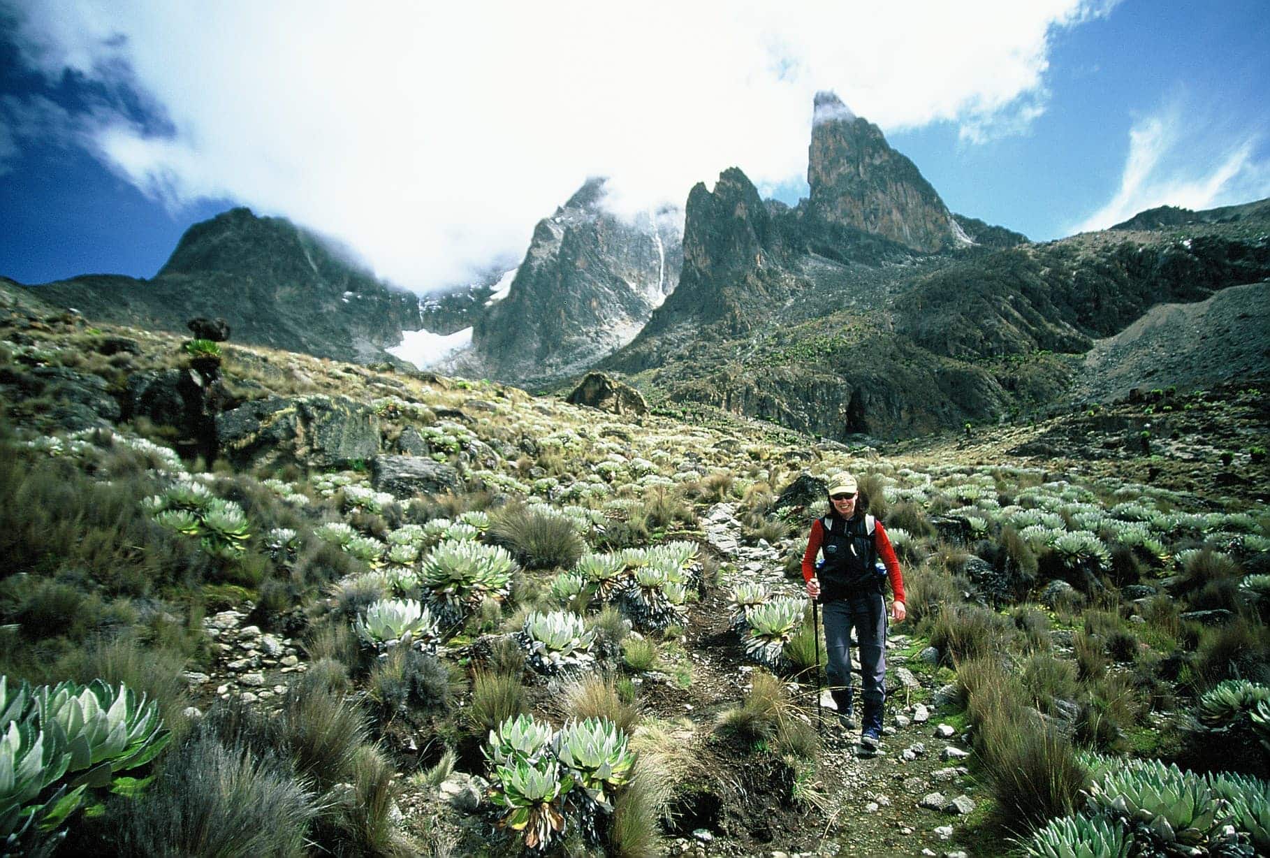 above McKinders camp Mt Kenya