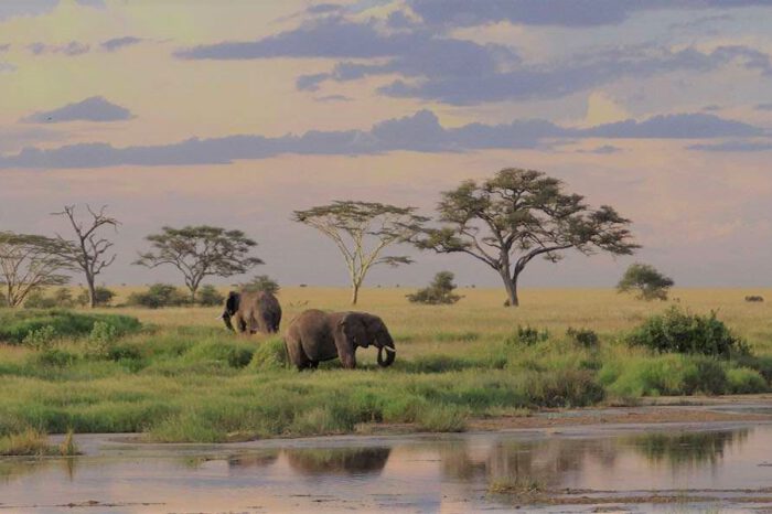 Tanzania