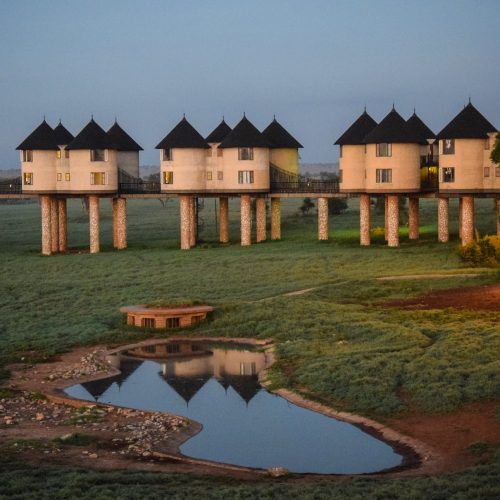 safari sarova salt lick game lodge
