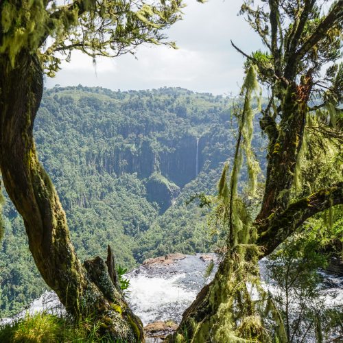 aberdare national park
