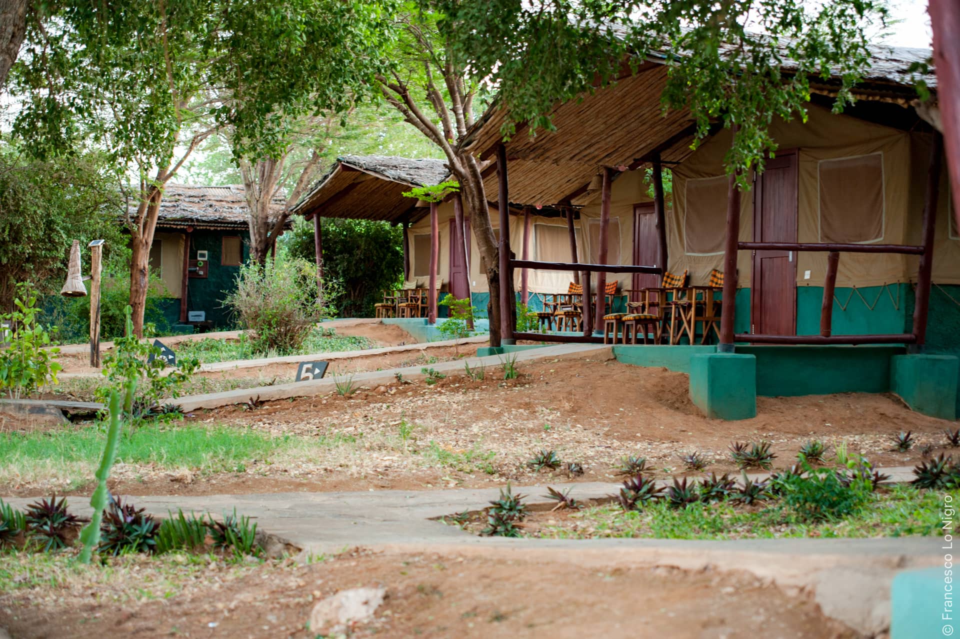 sentrim safari camp tsavo east