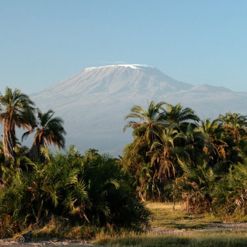 amboseli kenya 2