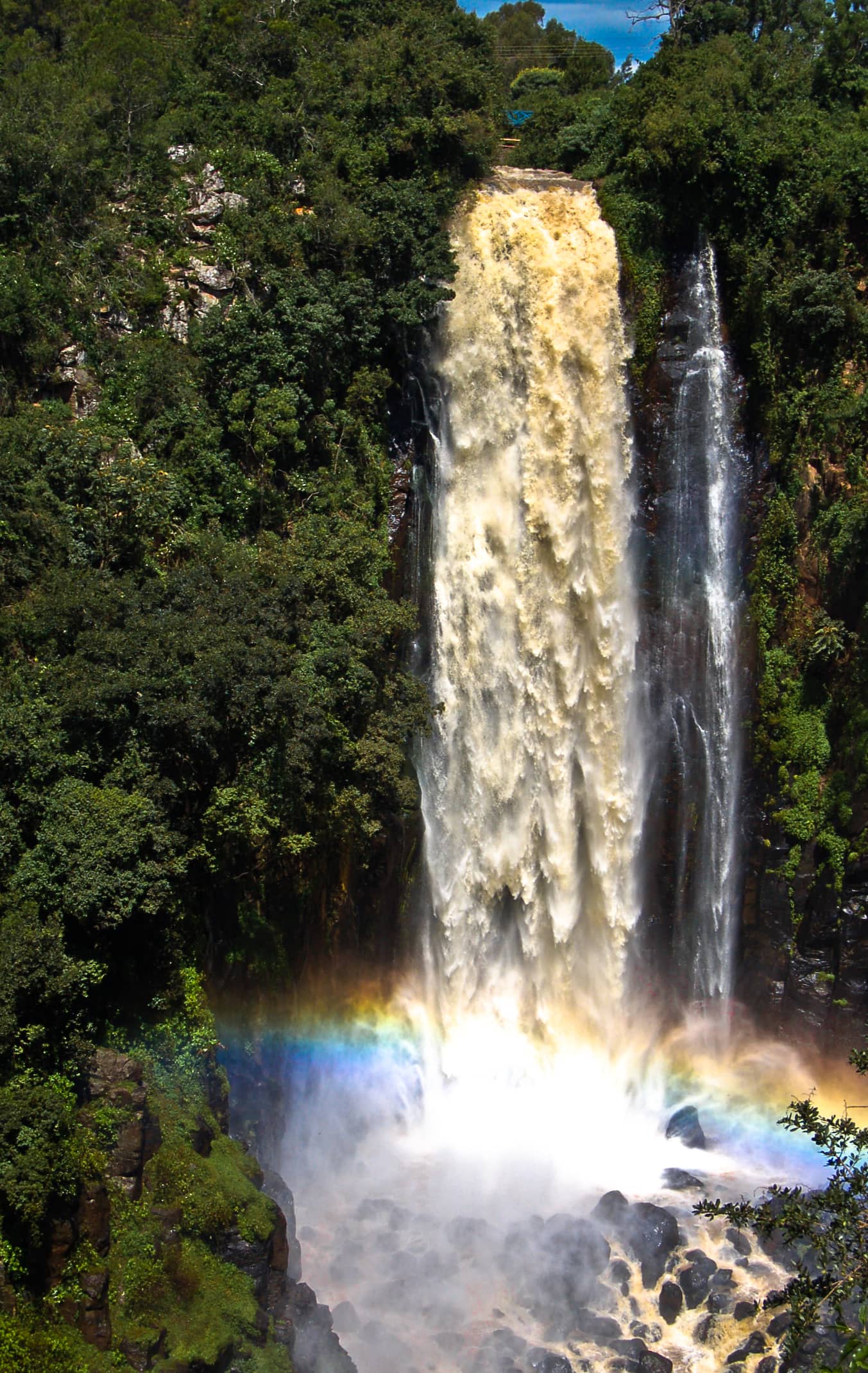 Thomsons Falls