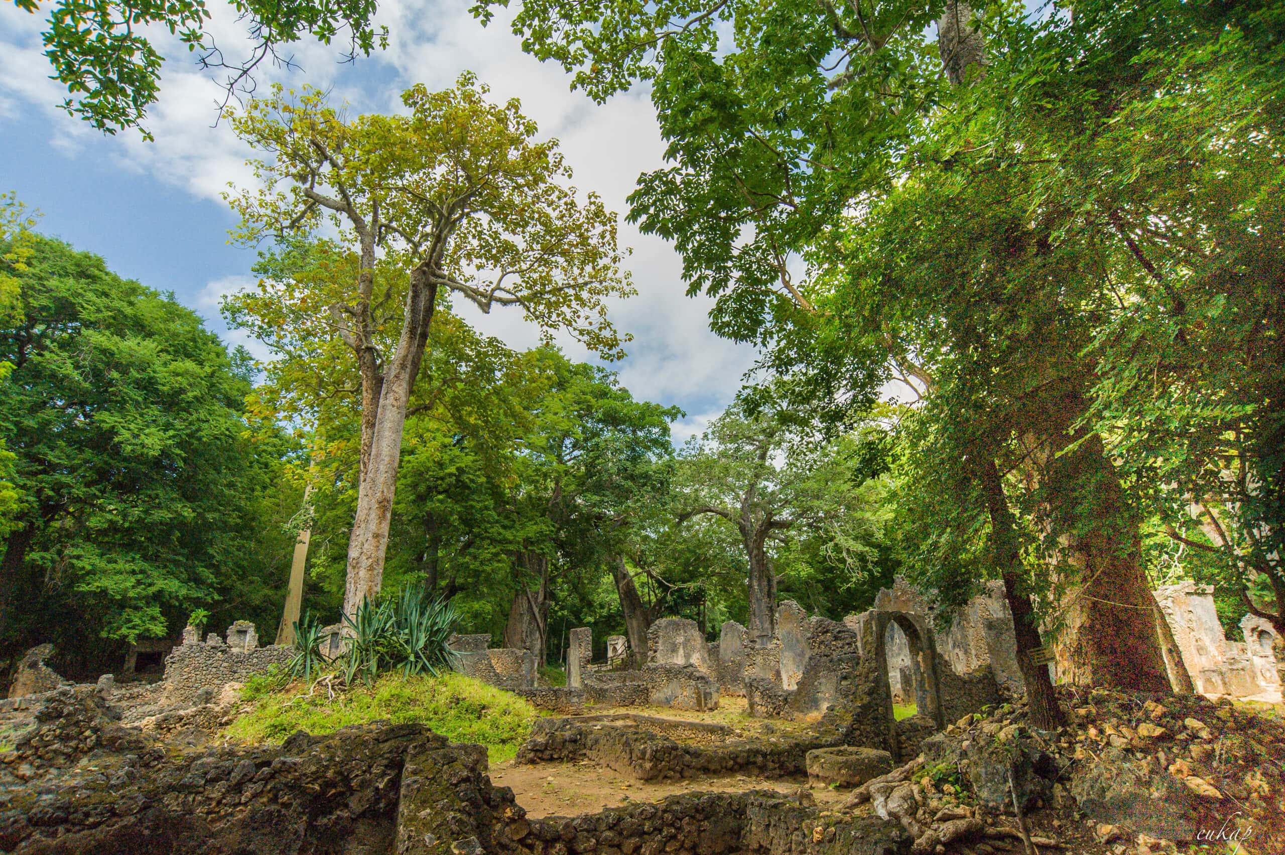 gede ruins malindi kenya scaled