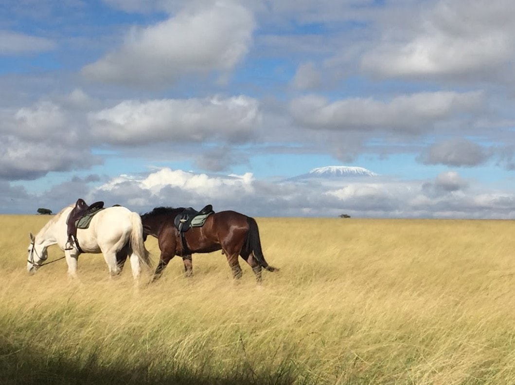 horse riding kenya