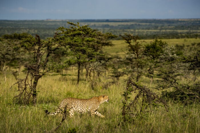 Tsavo Ost Nationalpark