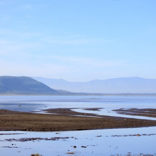 lake nukuru nature reserve kenya 2021 08 26 18 15 04 utc