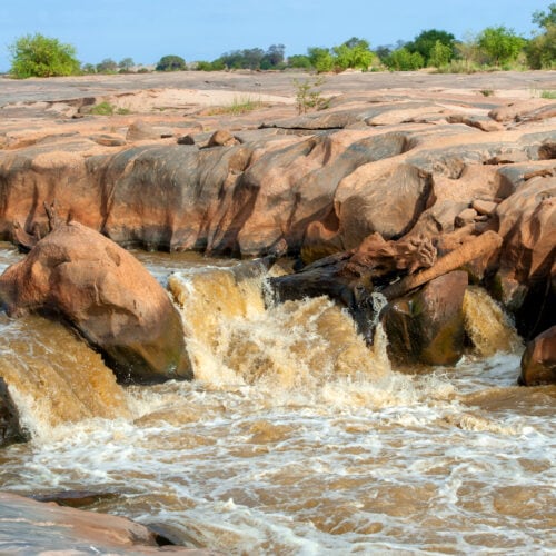 savannah landscape with river in the national park 2021 08 26 15 56 02 utc
