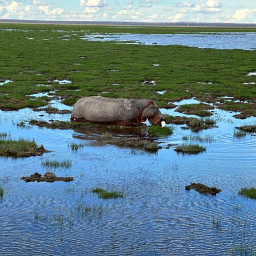 Kenya april 2023 1