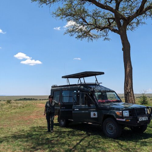 small break under a tree