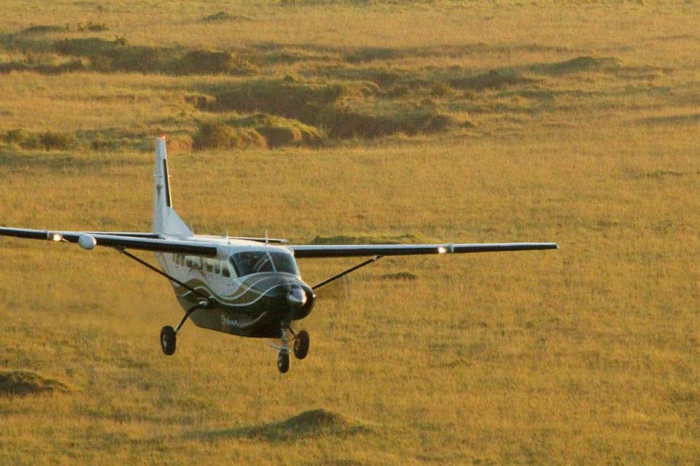 2 giorni (1 notte) in aereo per il Masai Mara, da Ukunda, Mombasa o Nairobi