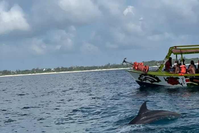 1 Giorno Safari Blue Mida Creek