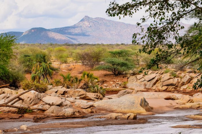 Meru National Park