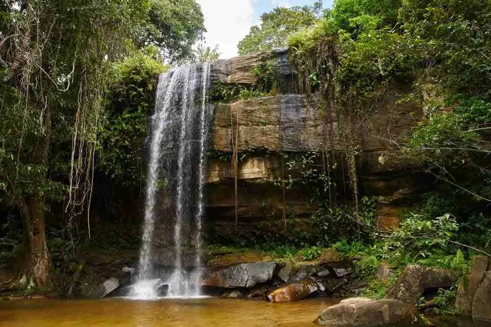 Sheldrick Falls deep in the Shimba Hills National Reserve
